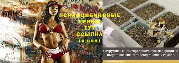 a pvp Красноперекопск