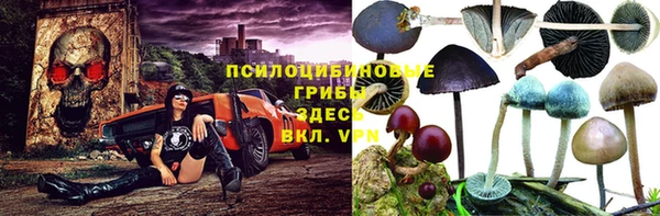 СК Билибино